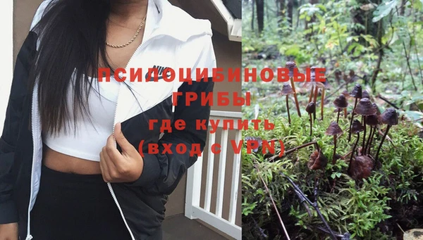 спиды Тутаев