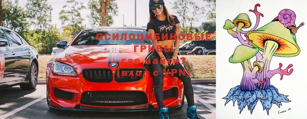 спиды Тутаев