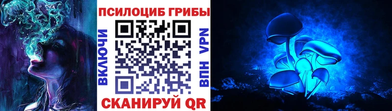 Купить  Тосно  Галлюциногенные грибы прущие грибы 